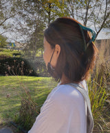 arnew hair claws Triangle Hairclaw Clip